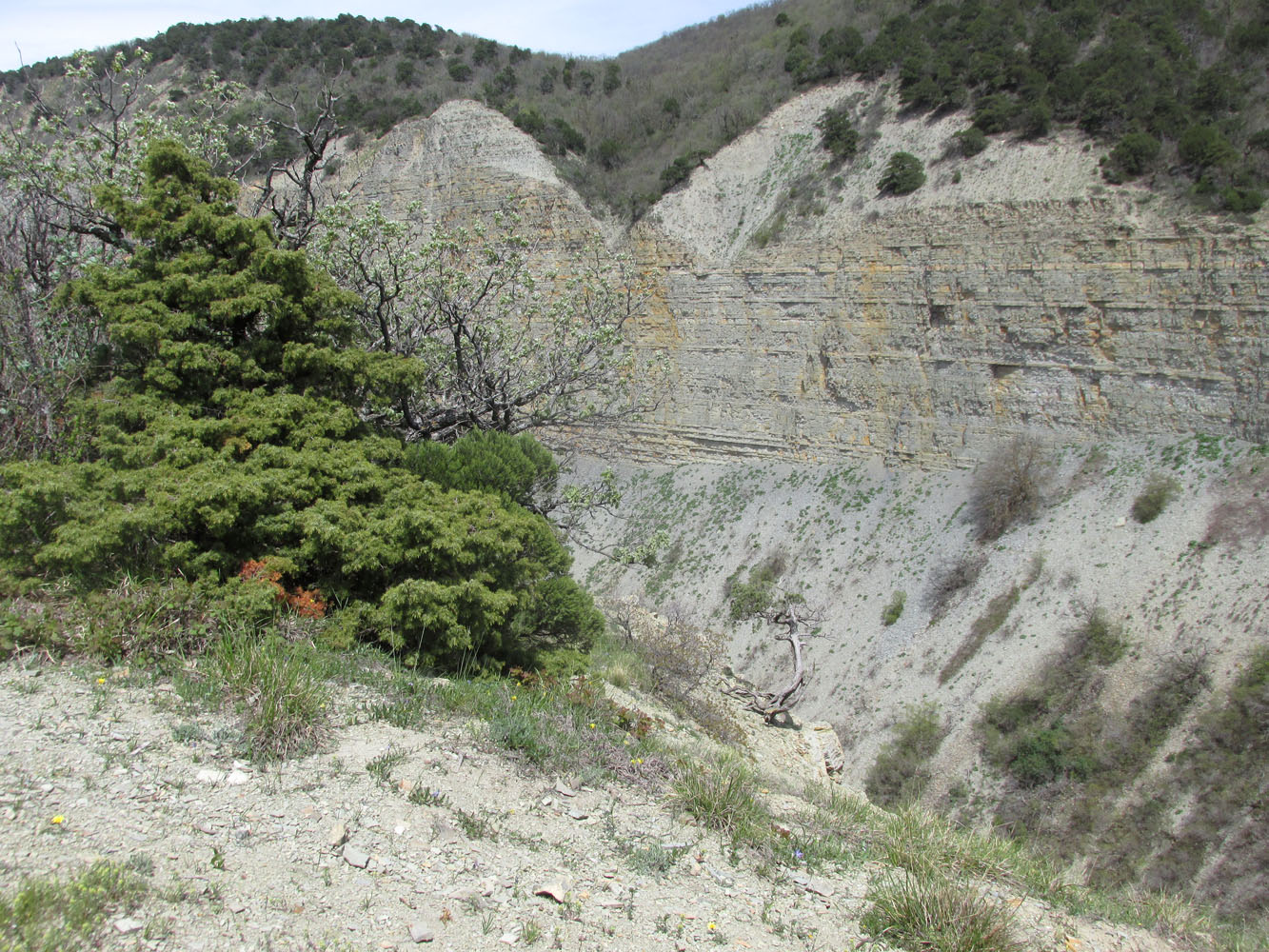 Заповедник "Утриш", image of landscape/habitat.