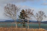 Image of landscape