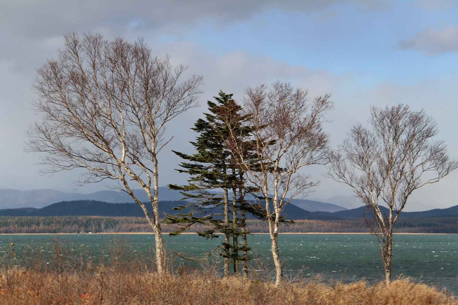 Село Охотское, image of landscape/habitat.