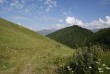 Юго-восточный склон Чархунышкорт, image of landscape/habitat.