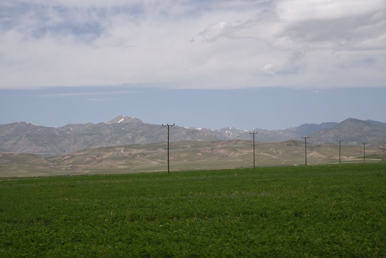 Албайрак, image of landscape/habitat.