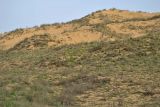 Image of landscape