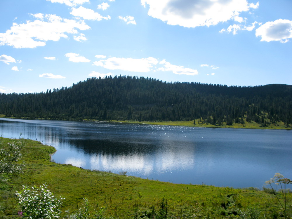 Ойское озеро, image of landscape/habitat.