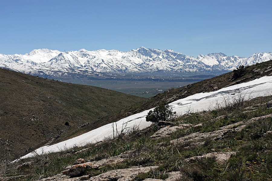 Горы Алатау, image of landscape/habitat.