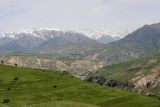 Северные холмы, image of landscape/habitat.