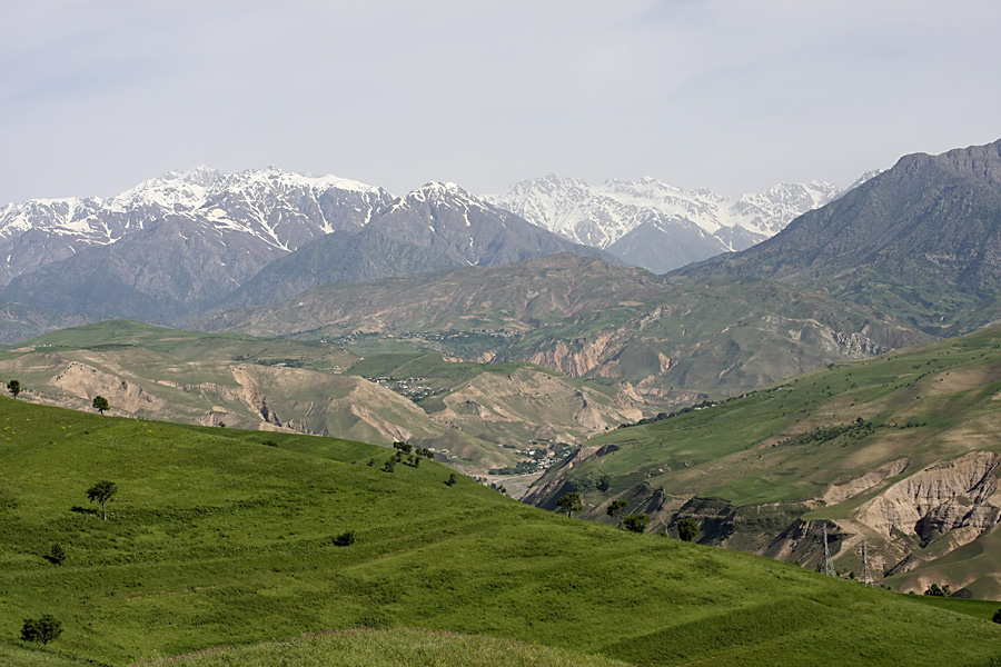 Северные холмы, image of landscape/habitat.