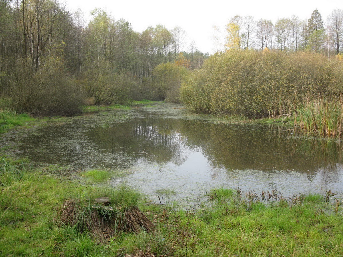 Жуков хутор, image of landscape/habitat.