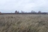Image of landscape