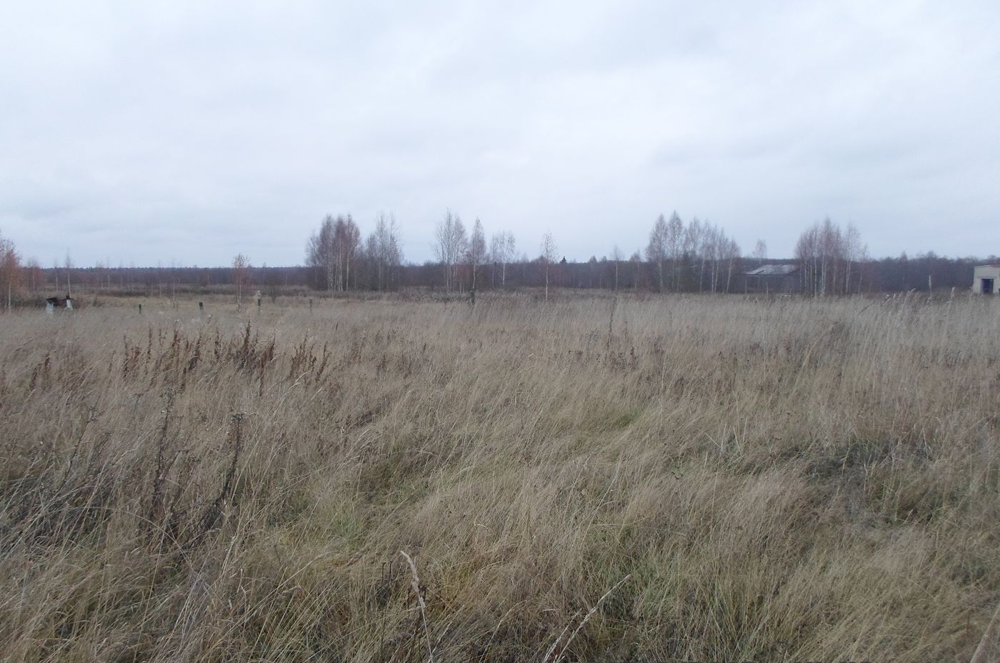Чистая Дуброва, image of landscape/habitat.
