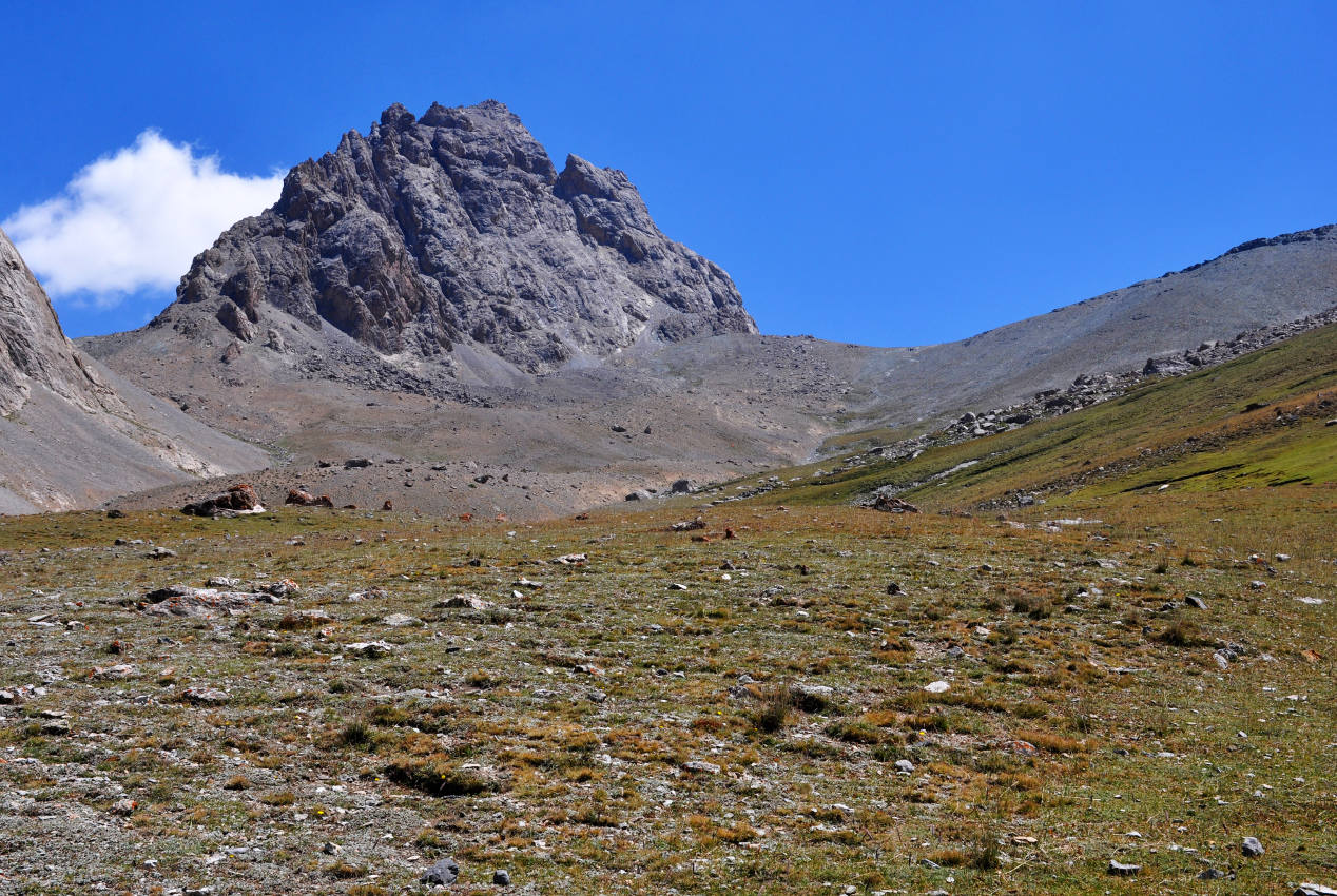 Перевал Алаудин, image of landscape/habitat.