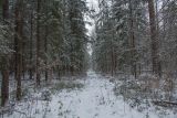 Изображение ландшафта