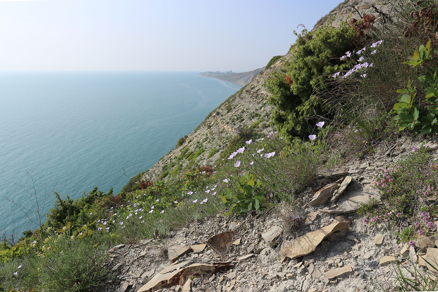 Супсех, image of landscape/habitat.