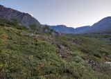 Image of landscape