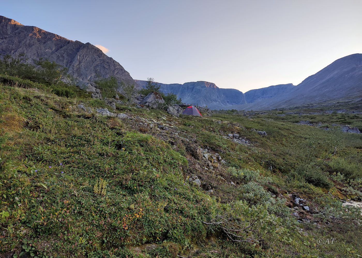 Верховья руч. Петрелиуса, image of landscape/habitat.