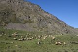 Кальдера Немрут, image of landscape/habitat.