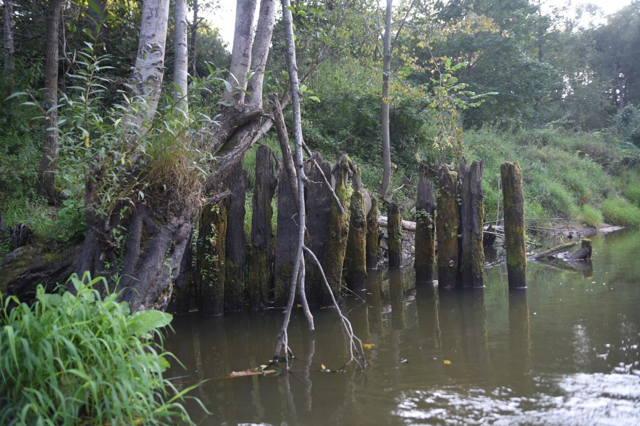 Устье ручья Черебеть, изображение ландшафта.
