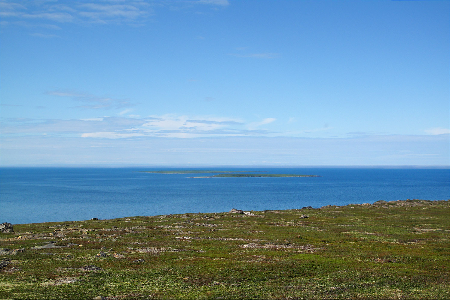 Мыс Земляной, image of landscape/habitat.