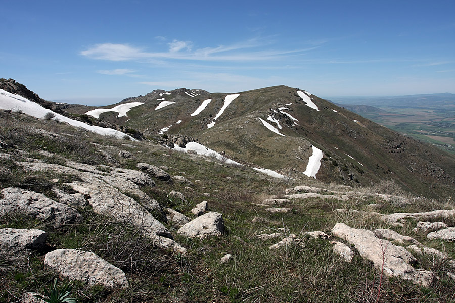 Горы Алатау, image of landscape/habitat.