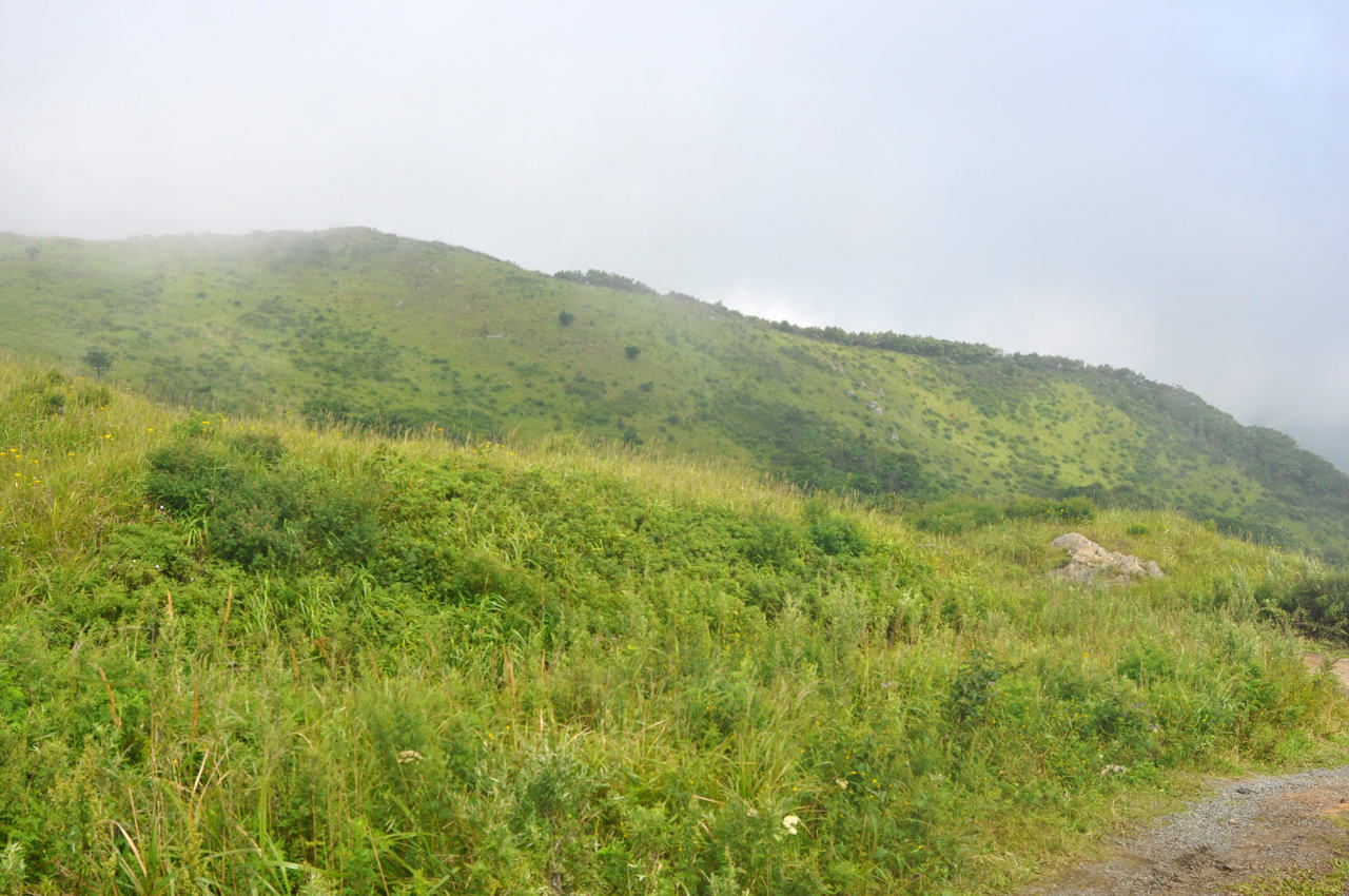 Окрестности мыса Гамова, image of landscape/habitat.