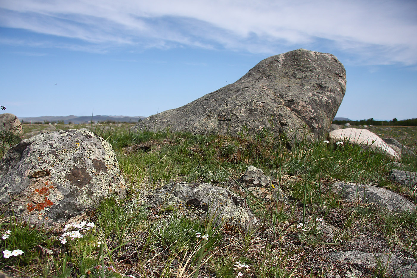 Окрестности Сармы, image of landscape/habitat.