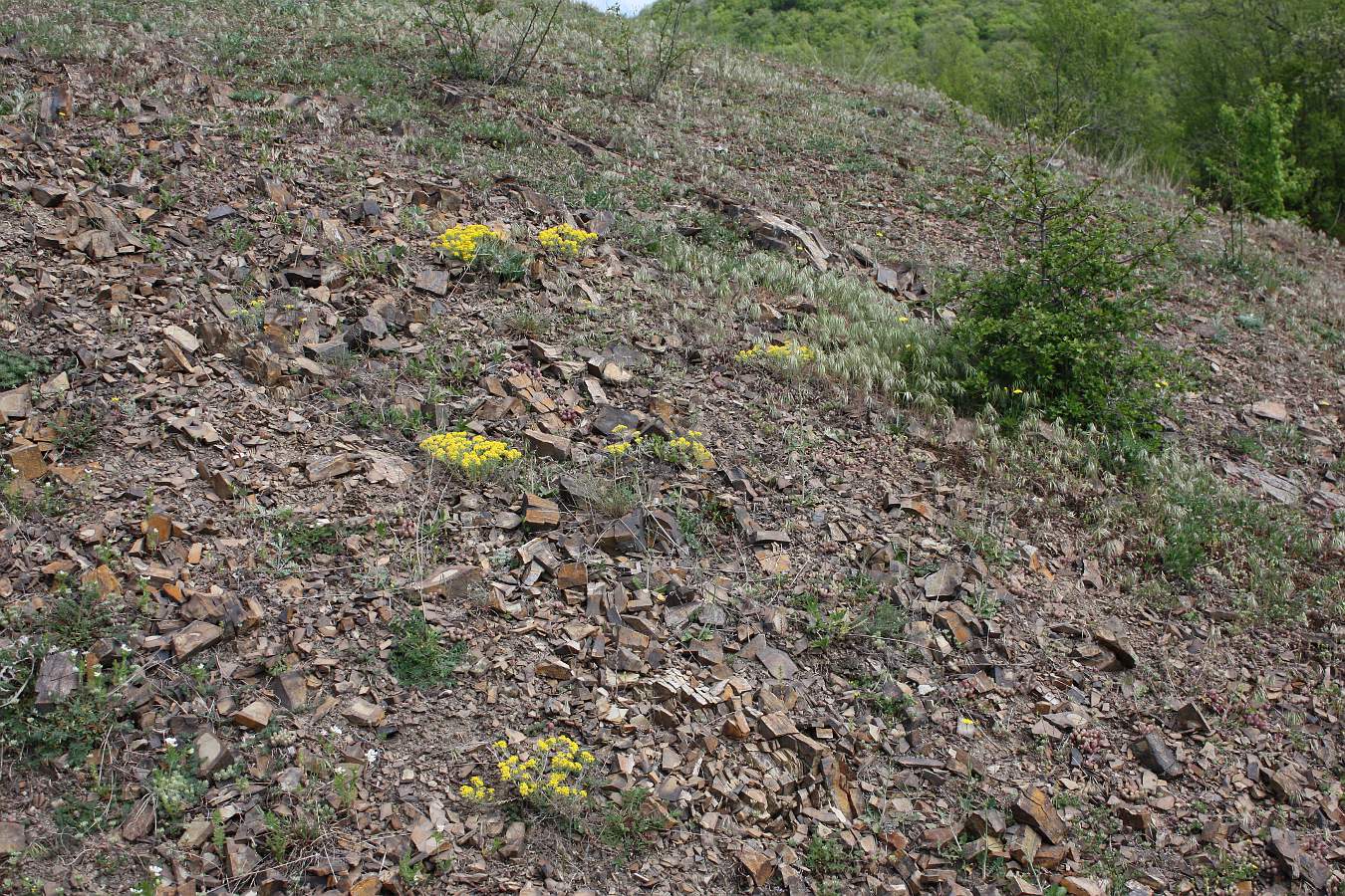 Крымский геологический полигон, image of landscape/habitat.