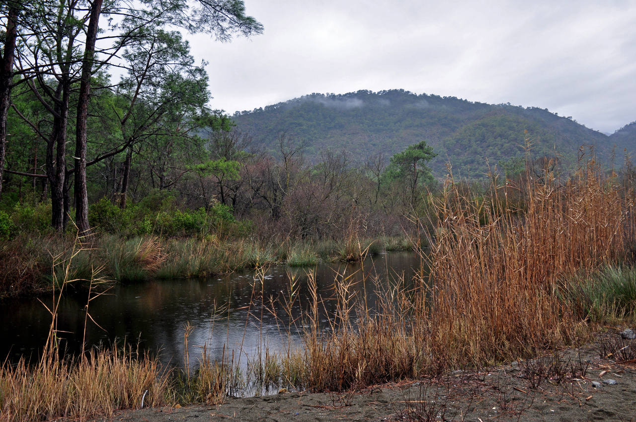 Бухта Чиралы и окрестности, image of landscape/habitat.