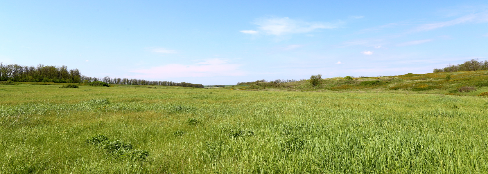 Балка Каменоватая (Ефремовская), image of landscape/habitat.