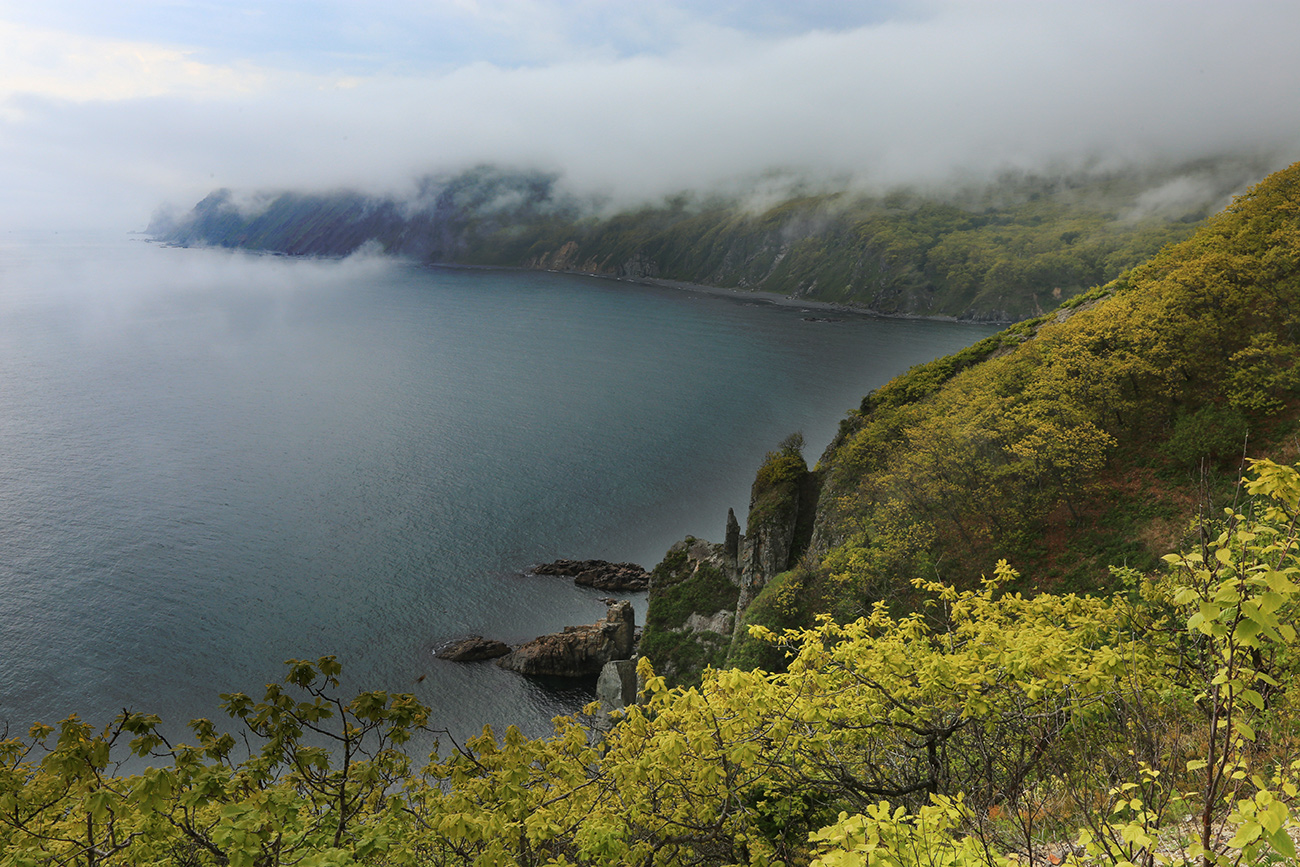 Терней, image of landscape/habitat.