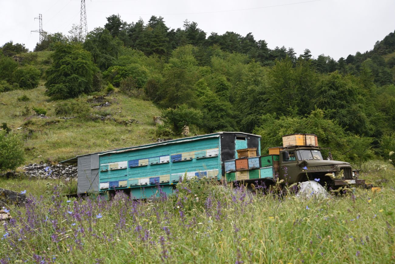 Нижний Кяхк и окрестности, image of landscape/habitat.