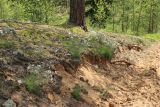 Сурмино, image of landscape/habitat.