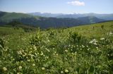 Image of landscape