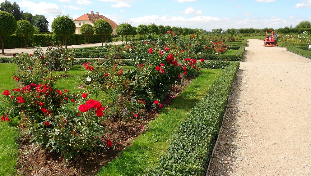 Рундальский дворец Бирона, image of landscape/habitat.