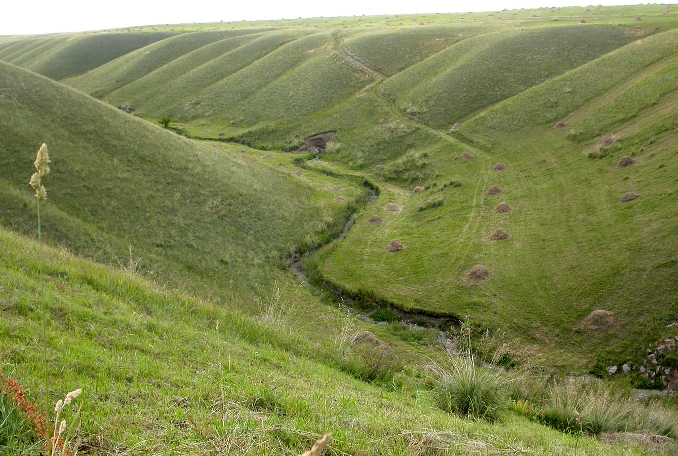 Шет-Мерке, image of landscape/habitat.