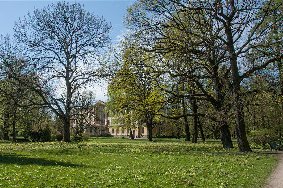 Парк Ботанического института РАН, image of landscape/habitat.