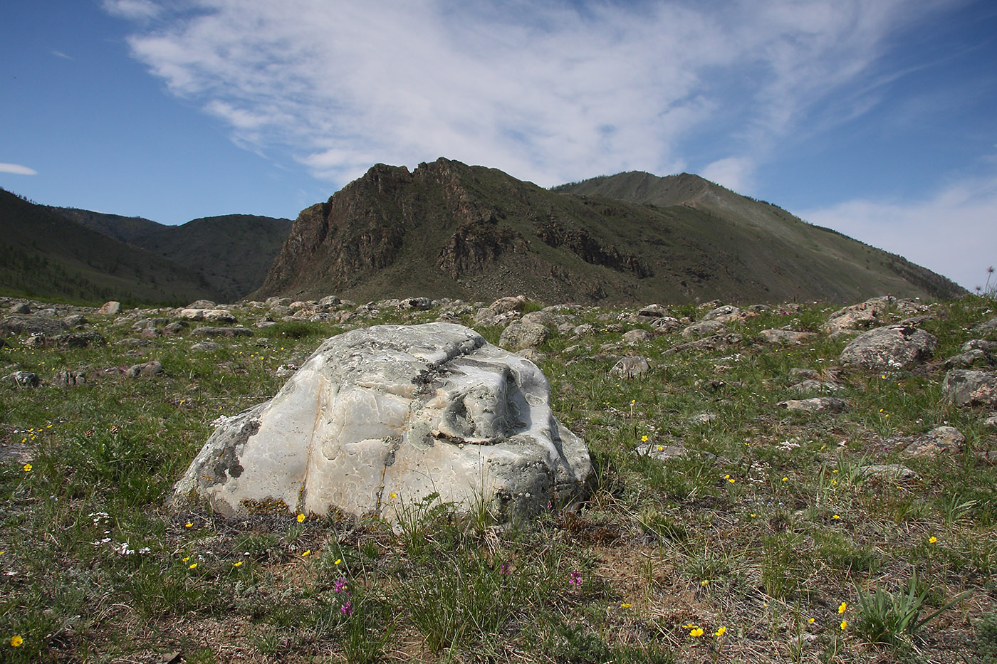 Окрестности Сармы, image of landscape/habitat.