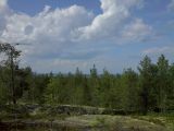Image of landscape