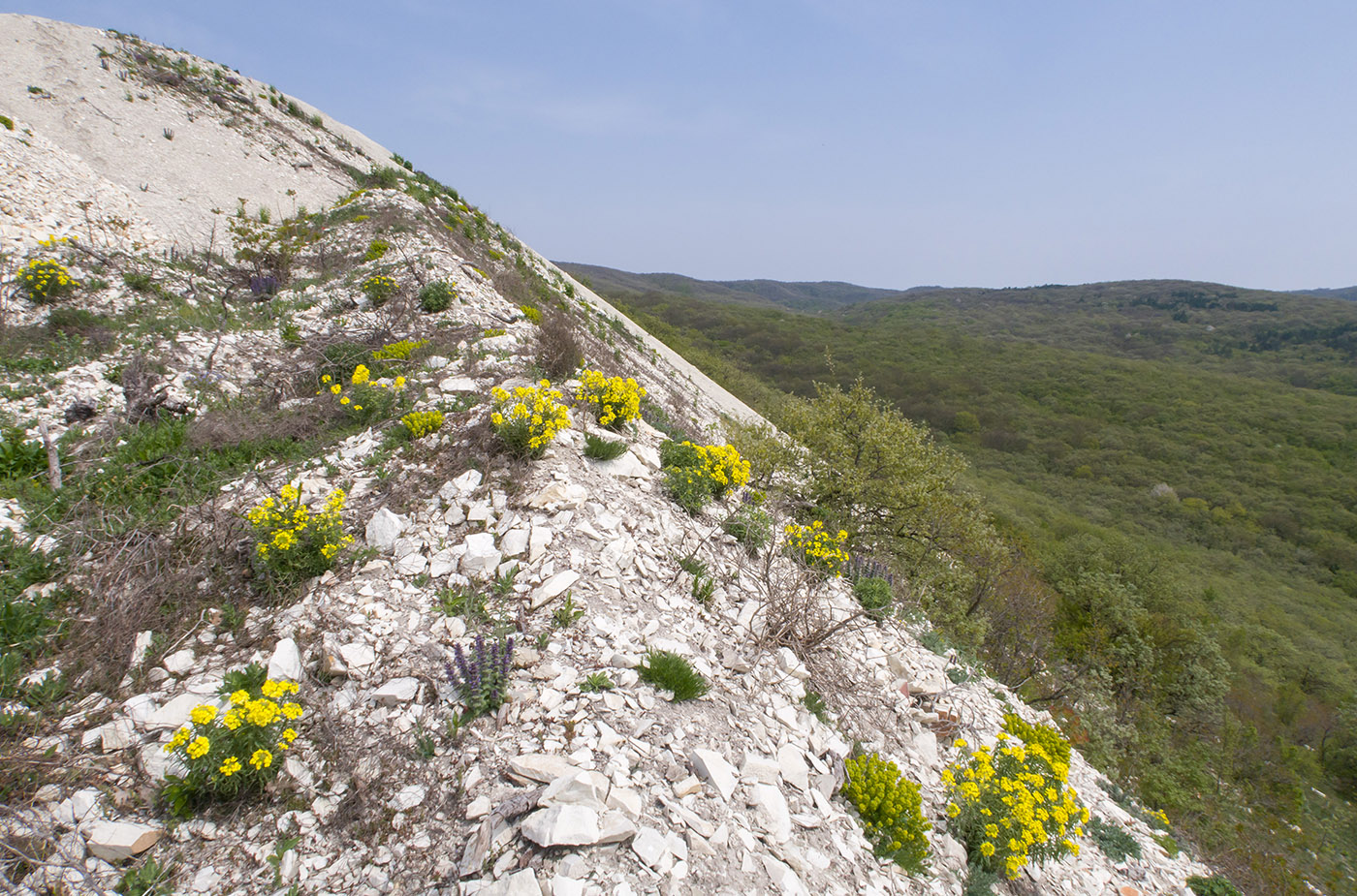 Карьер на горе Лысая, image of landscape/habitat.