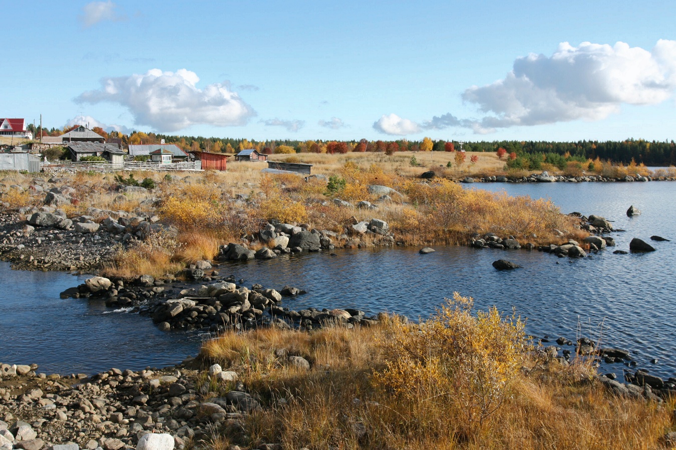 Ковда, image of landscape/habitat.