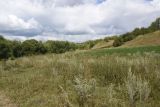 Image of landscape