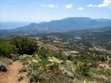 Image of landscape