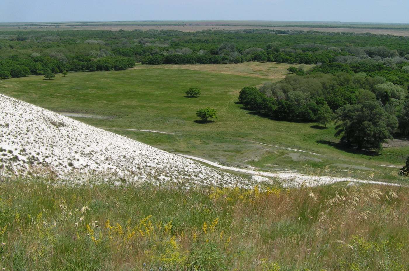 Стефанидовка, image of landscape/habitat.