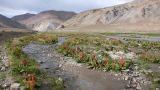 Image of landscape