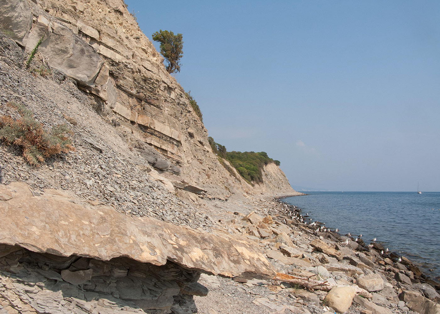 Широкая Балка, изображение ландшафта.