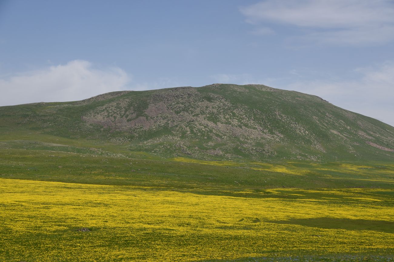 Юкарикент-Гечиды, image of landscape/habitat.