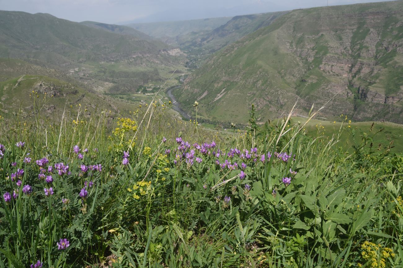 Урочище Агара, изображение ландшафта.