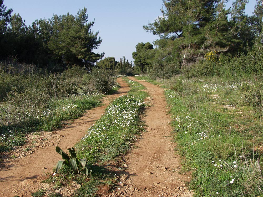 Катаколо, image of landscape/habitat.