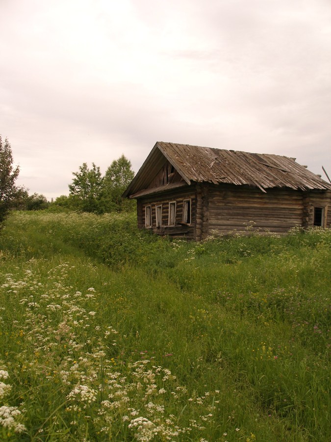 Шалго-Бодуновский лес, изображение ландшафта.