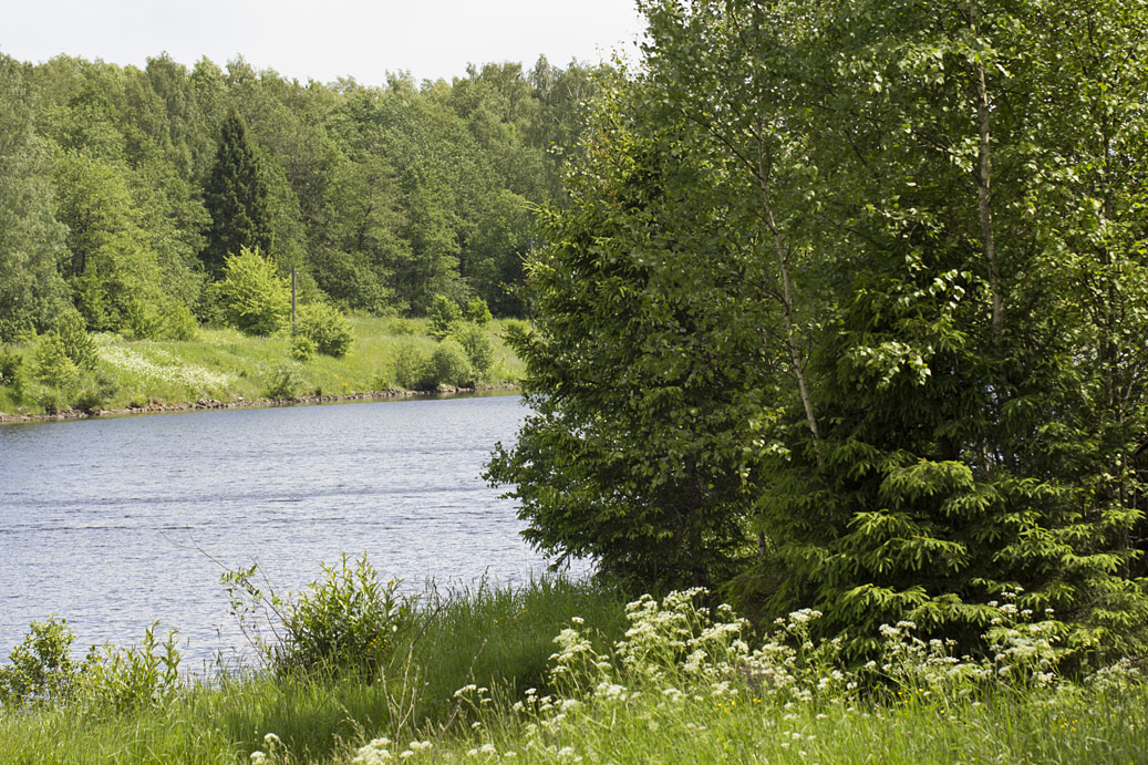Шлюз №2 канала им. Москвы, image of landscape/habitat.