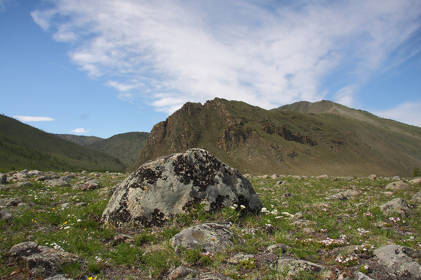 Окрестности Сармы, image of landscape/habitat.