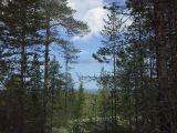 Image of landscape